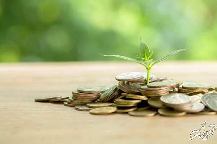 زکات یکی از راههای تقرب به خدا پرداخت زکات